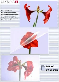 Druckerpatronen, Druckerzubehör Olympia Laminierfolien A3 80 Mic (50 St.)