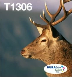 Druckerpatronen, Druckerzubehör Epson T1306 XL DURABrite Ultra Multipack EasyMail 3-farbig